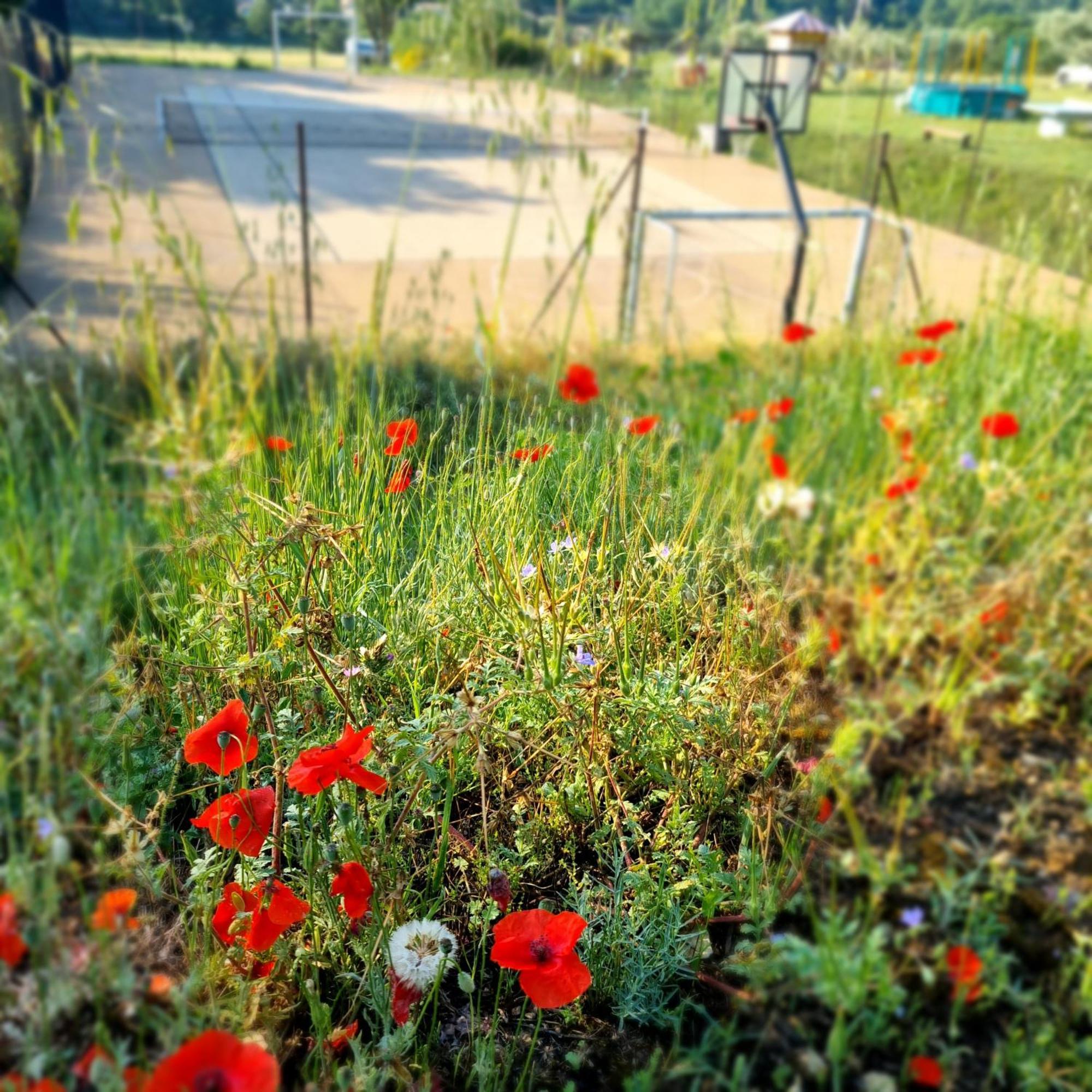 L'Oustaou Du Luberon Et Spa Villelaure Exteriér fotografie