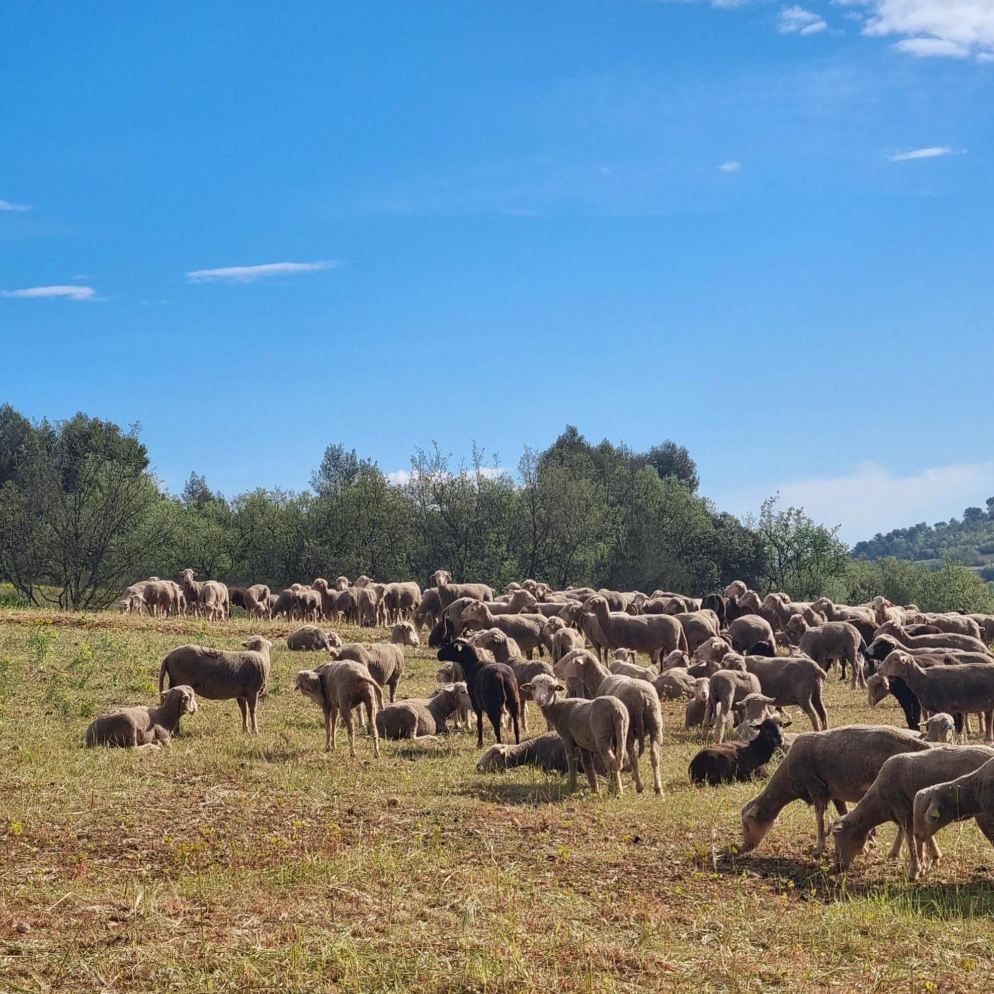 L'Oustaou Du Luberon Et Spa Villelaure Exteriér fotografie