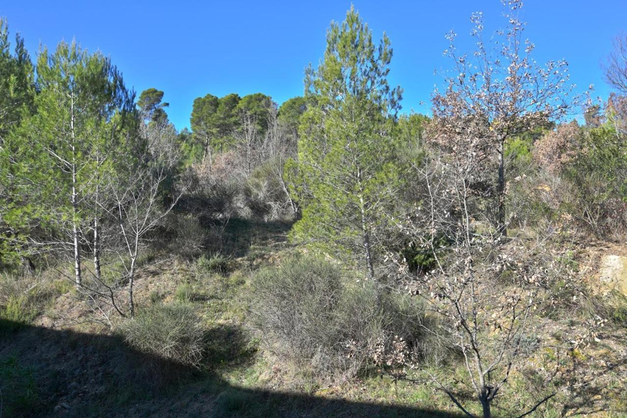 L'Oustaou Du Luberon Et Spa Villelaure Exteriér fotografie