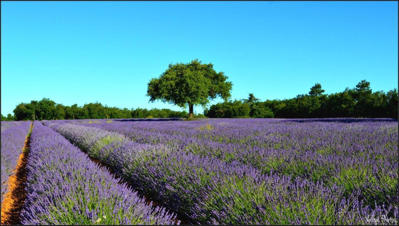 L'Oustaou Du Luberon Et Spa Villelaure Exteriér fotografie